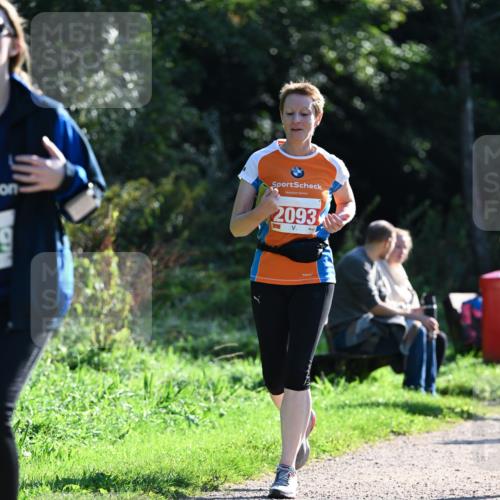 27.09.2026 - 35. Volkslauf durch das schöne Alstertal Dr. Thomas Lammeyer http://msf.ph/oto/10568973 27.09.2026 10:55:26 Laufen 2093 meine-sportfotos.de