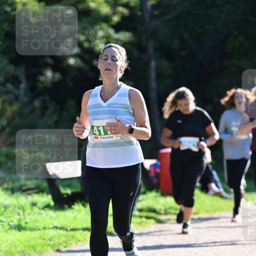27.09.2026 - 35. Volkslauf durch das schöne Alstertal Dr. Thomas Lammeyer http://msf.ph/oto/10568980 27.09.2026 10:55:28 Laufen 41 meine-sportfotos.de