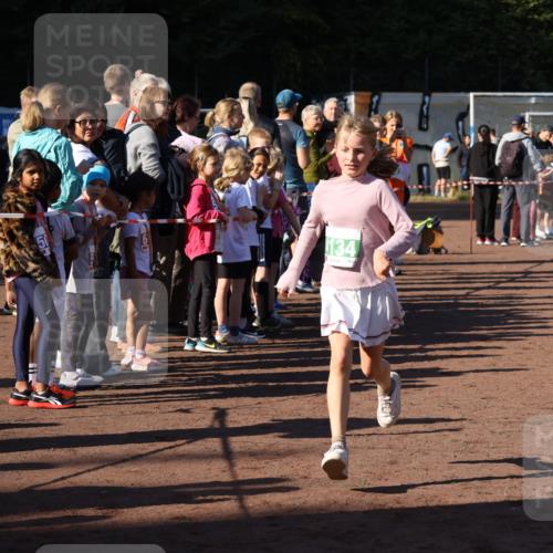27.09.2026 - 35. Volkslauf durch das schöne Alstertal Strokosch-Dieckow http://msf.ph/oto/10568981 27.09.2026 10:59:56 Ziel 4117, 4130, 4134, 4159, 4160 meine-sportfotos.de