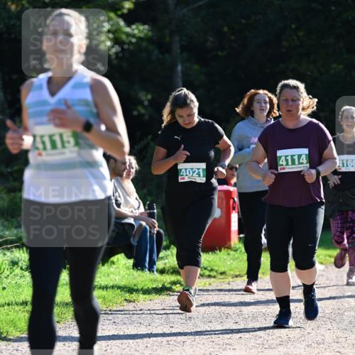 27.09.2026 - 35. Volkslauf durch das schöne Alstertal Dr. Thomas Lammeyer http://msf.ph/oto/10568985 27.09.2026 10:55:28 Laufen 4115, 4021, 4114, 4166 meine-sportfotos.de