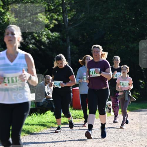 27.09.2026 - 35. Volkslauf durch das schöne Alstertal Dr. Thomas Lammeyer http://msf.ph/oto/10568986 27.09.2026 10:55:29 Laufen 41, 4115, 4166, 4168 meine-sportfotos.de