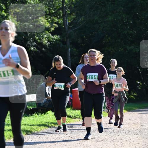 27.09.2026 - 35. Volkslauf durch das schöne Alstertal Dr. Thomas Lammeyer http://msf.ph/oto/10568988 27.09.2026 10:55:29 Laufen 115, 4021, 4114, 4166, 416 meine-sportfotos.de