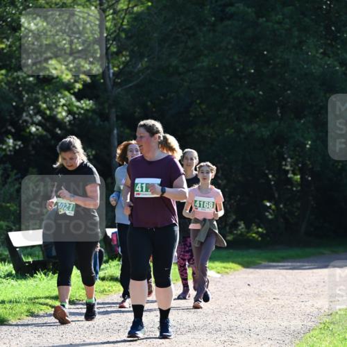 27.09.2026 - 35. Volkslauf durch das schöne Alstertal Dr. Thomas Lammeyer http://msf.ph/oto/10568990 27.09.2026 10:55:29 Laufen 021, 41, 4168 meine-sportfotos.de