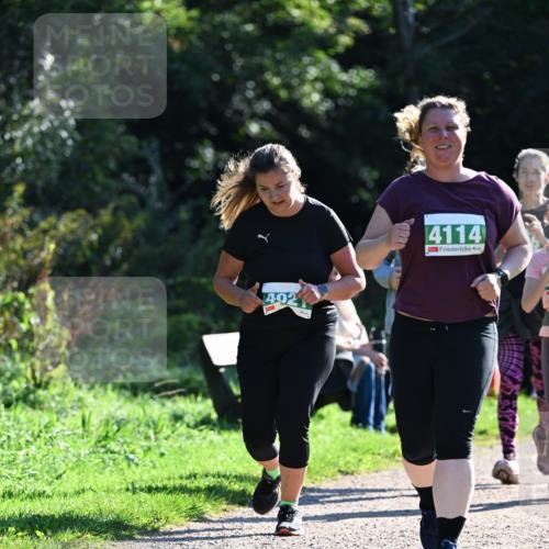 27.09.2026 - 35. Volkslauf durch das schöne Alstertal Dr. Thomas Lammeyer http://msf.ph/oto/10568992 27.09.2026 10:55:30 Laufen 402, 4114 meine-sportfotos.de