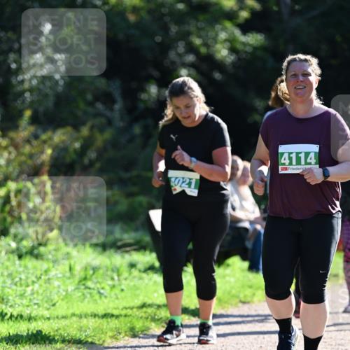 27.09.2026 - 35. Volkslauf durch das schöne Alstertal Dr. Thomas Lammeyer http://msf.ph/oto/10568994 27.09.2026 10:55:30 Laufen 0, 021, 4114 meine-sportfotos.de