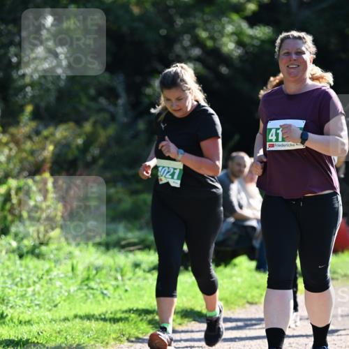 27.09.2026 - 35. Volkslauf durch das schöne Alstertal Dr. Thomas Lammeyer http://msf.ph/oto/10568995 27.09.2026 10:55:30 Laufen 021, 41 meine-sportfotos.de