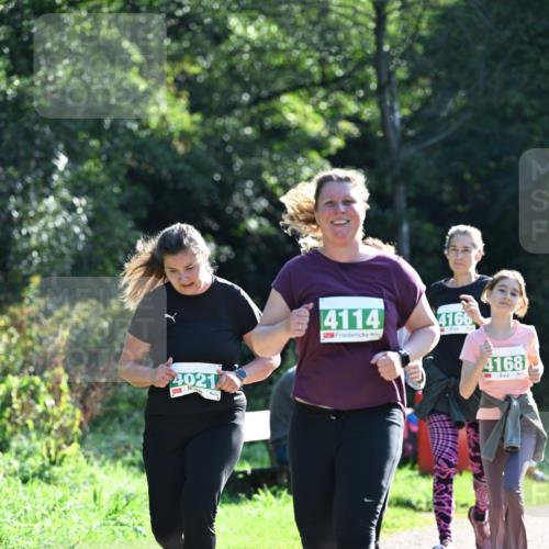 27.09.2026 - 35. Volkslauf durch das schöne Alstertal Dr. Thomas Lammeyer http://msf.ph/oto/10568999 27.09.2026 10:55:31 Laufen 4021, 4114, 4166, 4168 meine-sportfotos.de