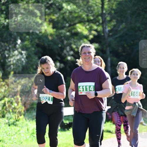 27.09.2026 - 35. Volkslauf durch das schöne Alstertal Dr. Thomas Lammeyer http://msf.ph/oto/10569000 27.09.2026 10:55:31 Laufen 4114, 419, 4168, 4021 meine-sportfotos.de