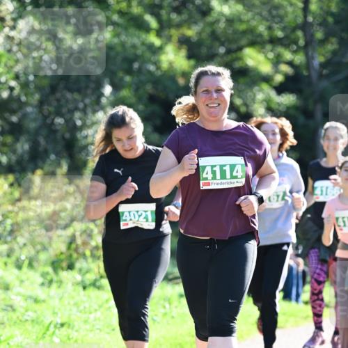 27.09.2026 - 35. Volkslauf durch das schöne Alstertal Dr. Thomas Lammeyer http://msf.ph/oto/10569005 27.09.2026 10:55:31 Laufen 4021, 4114, 4166, 41 meine-sportfotos.de