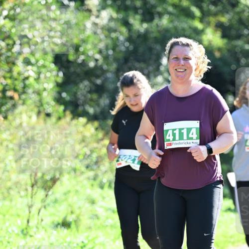 27.09.2026 - 35. Volkslauf durch das schöne Alstertal Dr. Thomas Lammeyer http://msf.ph/oto/10569010 27.09.2026 10:55:32 Laufen 59270, 4114 meine-sportfotos.de