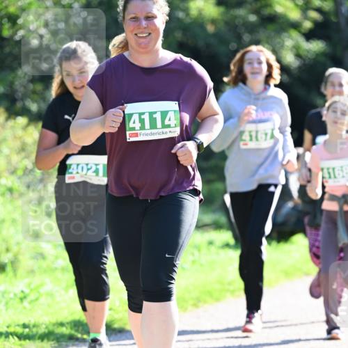 27.09.2026 - 35. Volkslauf durch das schöne Alstertal Dr. Thomas Lammeyer http://msf.ph/oto/10569011 27.09.2026 10:55:32 Laufen 4021, 4114, 4167, 4168 meine-sportfotos.de
