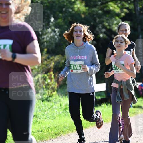 27.09.2026 - 35. Volkslauf durch das schöne Alstertal Dr. Thomas Lammeyer http://msf.ph/oto/10569015 27.09.2026 10:55:33 Laufen 4167, 410 meine-sportfotos.de