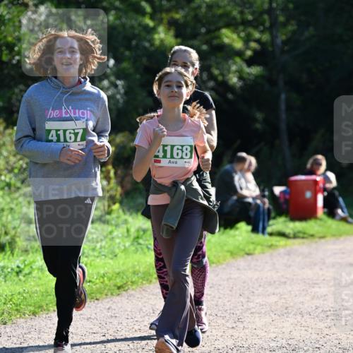 27.09.2026 - 35. Volkslauf durch das schöne Alstertal Dr. Thomas Lammeyer http://msf.ph/oto/10569022 27.09.2026 10:55:34 Laufen 4167, 4168 meine-sportfotos.de