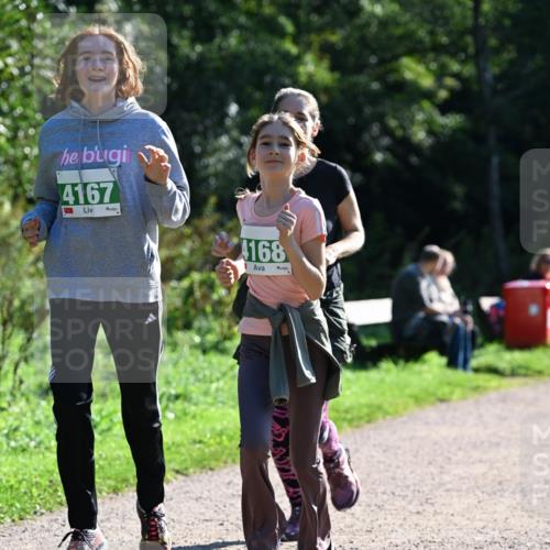 27.09.2026 - 35. Volkslauf durch das schöne Alstertal Dr. Thomas Lammeyer http://msf.ph/oto/10569025 27.09.2026 10:55:34 Laufen 4167, 4168 meine-sportfotos.de