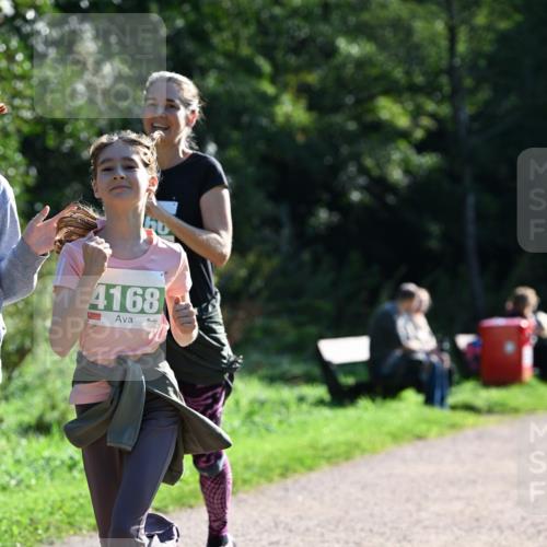 27.09.2026 - 35. Volkslauf durch das schöne Alstertal Dr. Thomas Lammeyer http://msf.ph/oto/10569030 27.09.2026 10:55:34 Laufen 4168 meine-sportfotos.de