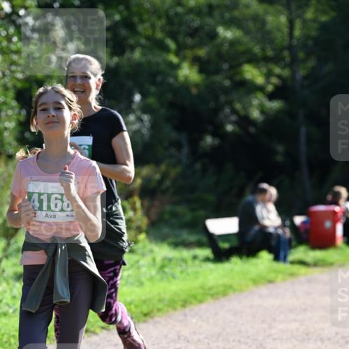 27.09.2026 - 35. Volkslauf durch das schöne Alstertal Dr. Thomas Lammeyer http://msf.ph/oto/10569031 27.09.2026 10:55:35 Laufen 4168 meine-sportfotos.de