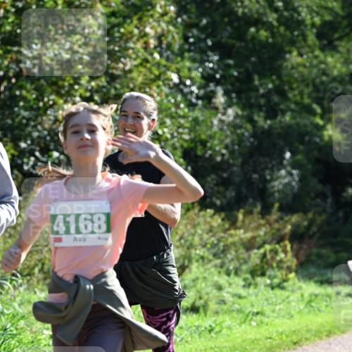 27.09.2026 - 35. Volkslauf durch das schöne Alstertal Dr. Thomas Lammeyer http://msf.ph/oto/10569032 27.09.2026 10:55:35 Laufen 4168 meine-sportfotos.de