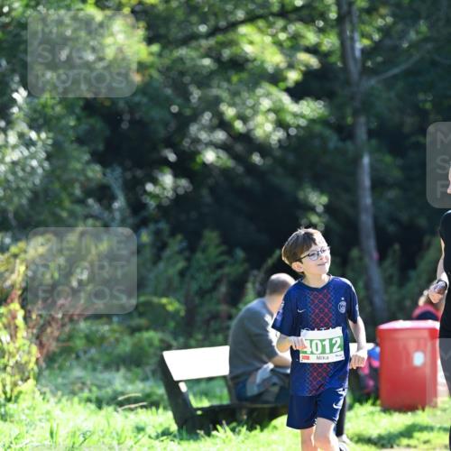 27.09.2026 - 35. Volkslauf durch das schöne Alstertal Dr. Thomas Lammeyer http://msf.ph/oto/10569047 27.09.2026 10:56:03 Laufen 012 meine-sportfotos.de