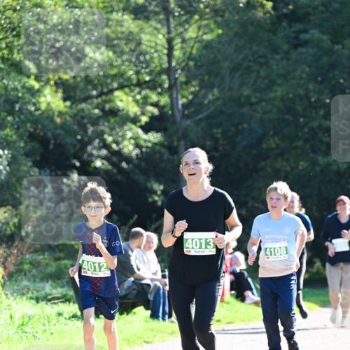 27.09.2026 - 35. Volkslauf durch das schöne Alstertal Dr. Thomas Lammeyer http://msf.ph/oto/10569054 27.09.2026 10:56:04 Laufen 4012, 4013, 4108 meine-sportfotos.de