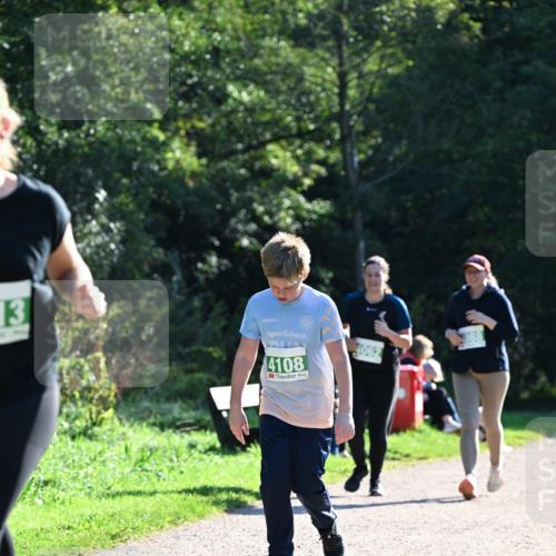 27.09.2026 - 35. Volkslauf durch das schöne Alstertal Dr. Thomas Lammeyer http://msf.ph/oto/10569067 27.09.2026 10:56:06 Laufen 13, 4108, 4062 meine-sportfotos.de