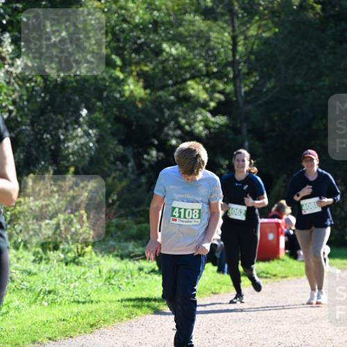 27.09.2026 - 35. Volkslauf durch das schöne Alstertal Dr. Thomas Lammeyer http://msf.ph/oto/10569070 27.09.2026 10:56:07 Laufen 4108, 4062, 4081 meine-sportfotos.de