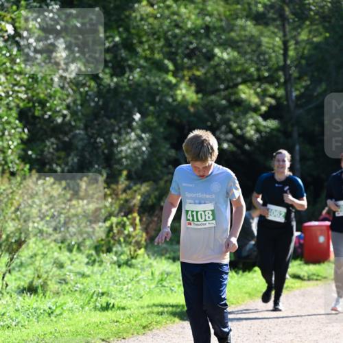27.09.2026 - 35. Volkslauf durch das schöne Alstertal Dr. Thomas Lammeyer http://msf.ph/oto/10569073 27.09.2026 10:56:07 Laufen 4108, 4062 meine-sportfotos.de