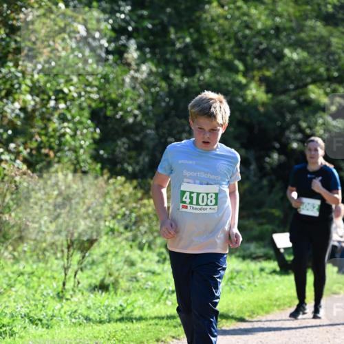 27.09.2026 - 35. Volkslauf durch das schöne Alstertal Dr. Thomas Lammeyer http://msf.ph/oto/10569080 27.09.2026 10:56:08 Laufen 4108 meine-sportfotos.de