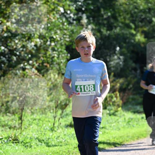 27.09.2026 - 35. Volkslauf durch das schöne Alstertal Dr. Thomas Lammeyer http://msf.ph/oto/10569085 27.09.2026 10:56:08 Laufen 4108 meine-sportfotos.de