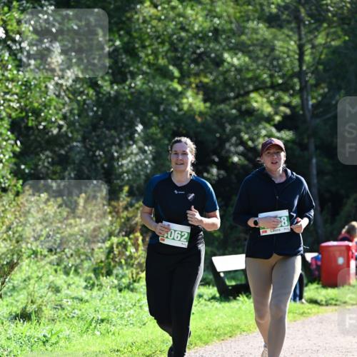 27.09.2026 - 35. Volkslauf durch das schöne Alstertal Dr. Thomas Lammeyer http://msf.ph/oto/10569086 27.09.2026 10:56:09 Laufen 062, 8 meine-sportfotos.de