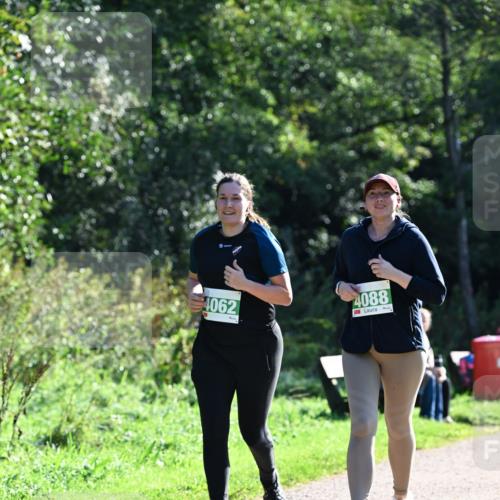 27.09.2026 - 35. Volkslauf durch das schöne Alstertal Dr. Thomas Lammeyer http://msf.ph/oto/10569089 27.09.2026 10:56:09 Laufen 4062, 4088 meine-sportfotos.de