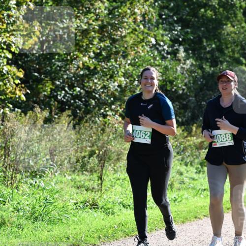 27.09.2026 - 35. Volkslauf durch das schöne Alstertal Dr. Thomas Lammeyer http://msf.ph/oto/10569101 27.09.2026 10:56:11 Laufen 4062, 4088 meine-sportfotos.de
