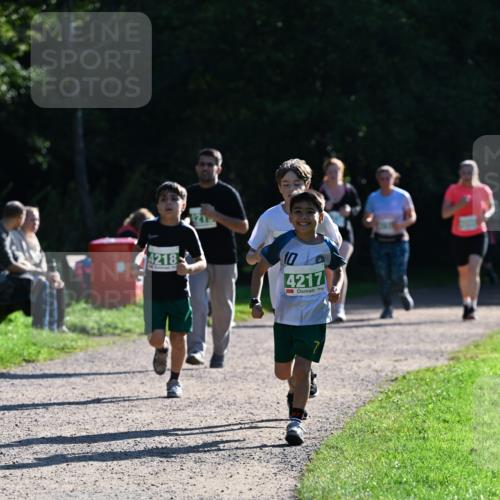 27.09.2026 - 35. Volkslauf durch das schöne Alstertal Dr. Thomas Lammeyer http://msf.ph/oto/10569122 27.09.2026 10:56:15 Laufen 4218, 4217 meine-sportfotos.de