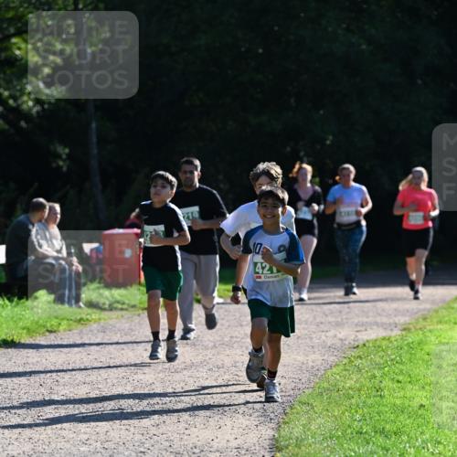 27.09.2026 - 35. Volkslauf durch das schöne Alstertal Dr. Thomas Lammeyer http://msf.ph/oto/10569124 27.09.2026 10:56:16 Laufen 219, 42 meine-sportfotos.de