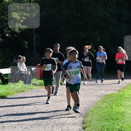 27.09.2026 - 35. Volkslauf durch das schöne Alstertal Dr. Thomas Lammeyer http://msf.ph/oto/10569127 27.09.2026 10:56:16 Laufen 218, 10, 4217 meine-sportfotos.de
