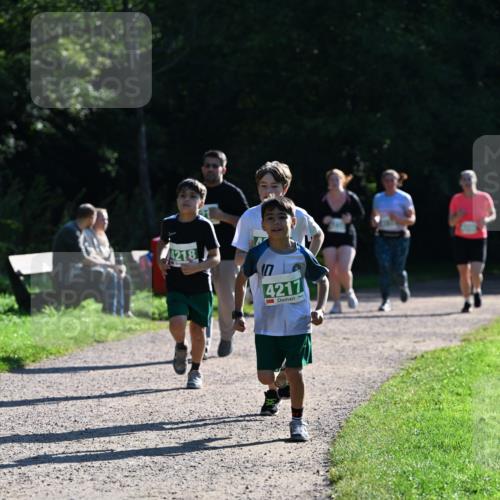 27.09.2026 - 35. Volkslauf durch das schöne Alstertal Dr. Thomas Lammeyer http://msf.ph/oto/10569128 27.09.2026 10:56:16 Laufen 4218, 4217 meine-sportfotos.de