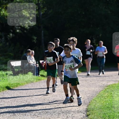 27.09.2026 - 35. Volkslauf durch das schöne Alstertal Dr. Thomas Lammeyer http://msf.ph/oto/10569130 27.09.2026 10:56:16 Laufen 42 meine-sportfotos.de