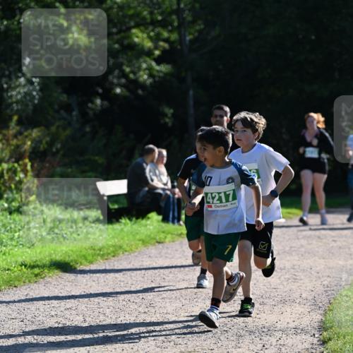 27.09.2026 - 35. Volkslauf durch das schöne Alstertal Dr. Thomas Lammeyer http://msf.ph/oto/10569133 27.09.2026 10:56:17 Laufen 4217, 7 meine-sportfotos.de