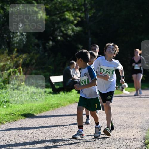 27.09.2026 - 35. Volkslauf durch das schöne Alstertal Dr. Thomas Lammeyer http://msf.ph/oto/10569136 27.09.2026 10:56:17 Laufen 217, 4226 meine-sportfotos.de