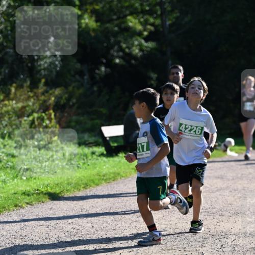 27.09.2026 - 35. Volkslauf durch das schöne Alstertal Dr. Thomas Lammeyer http://msf.ph/oto/10569137 27.09.2026 10:56:17 Laufen 17, 4226 meine-sportfotos.de