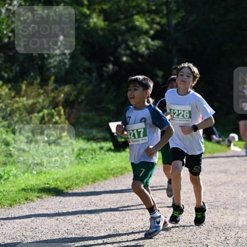 27.09.2026 - 35. Volkslauf durch das schöne Alstertal Dr. Thomas Lammeyer http://msf.ph/oto/10569138 27.09.2026 10:56:17 Laufen 4217, 4226, 7 meine-sportfotos.de