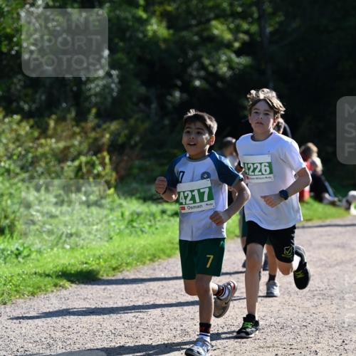 27.09.2026 - 35. Volkslauf durch das schöne Alstertal Dr. Thomas Lammeyer http://msf.ph/oto/10569140 27.09.2026 10:56:17 Laufen 7, 4217, 7, 1226 meine-sportfotos.de