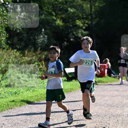 27.09.2026 - 35. Volkslauf durch das schöne Alstertal Dr. Thomas Lammeyer http://msf.ph/oto/10569142 27.09.2026 10:56:18 Laufen 1, 226 meine-sportfotos.de