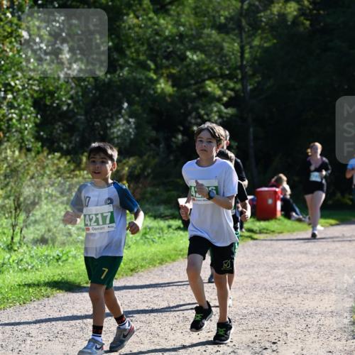 27.09.2026 - 35. Volkslauf durch das schöne Alstertal Dr. Thomas Lammeyer http://msf.ph/oto/10569143 27.09.2026 10:56:18 Laufen 7, 4217 meine-sportfotos.de