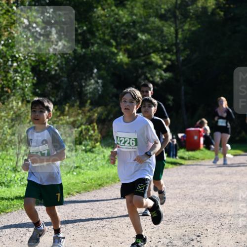 27.09.2026 - 35. Volkslauf durch das schöne Alstertal Dr. Thomas Lammeyer http://msf.ph/oto/10569146 27.09.2026 10:56:18 Laufen 1, 4226 meine-sportfotos.de