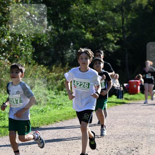 27.09.2026 - 35. Volkslauf durch das schöne Alstertal Dr. Thomas Lammeyer http://msf.ph/oto/10569147 27.09.2026 10:56:18 Laufen 4217, 7, 4226 meine-sportfotos.de