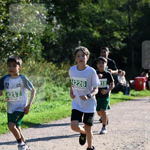 27.09.2026 - 35. Volkslauf durch das schöne Alstertal Dr. Thomas Lammeyer http://msf.ph/oto/10569148 27.09.2026 10:56:18 Laufen 17, 4217, 4226, 18 meine-sportfotos.de