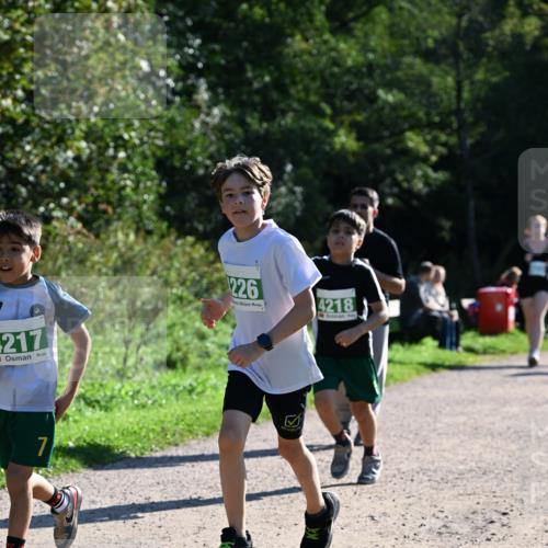 27.09.2026 - 35. Volkslauf durch das schöne Alstertal Dr. Thomas Lammeyer http://msf.ph/oto/10569150 27.09.2026 10:56:19 Laufen 217, 7, 226, 4218 meine-sportfotos.de