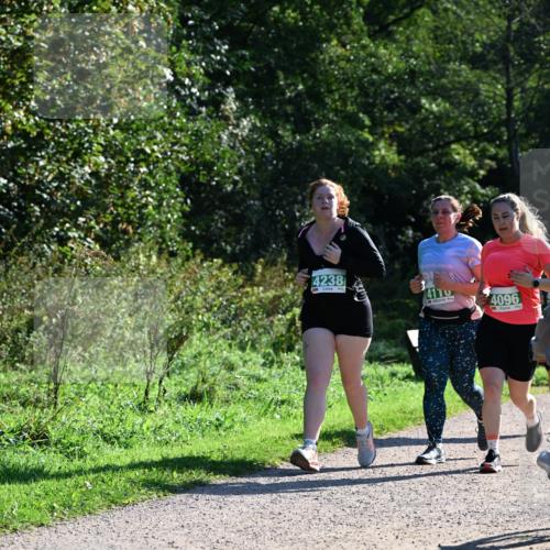 27.09.2026 - 35. Volkslauf durch das schöne Alstertal Dr. Thomas Lammeyer http://msf.ph/oto/10569164 27.09.2026 10:56:23 Laufen 4238, 4110, 4096 meine-sportfotos.de