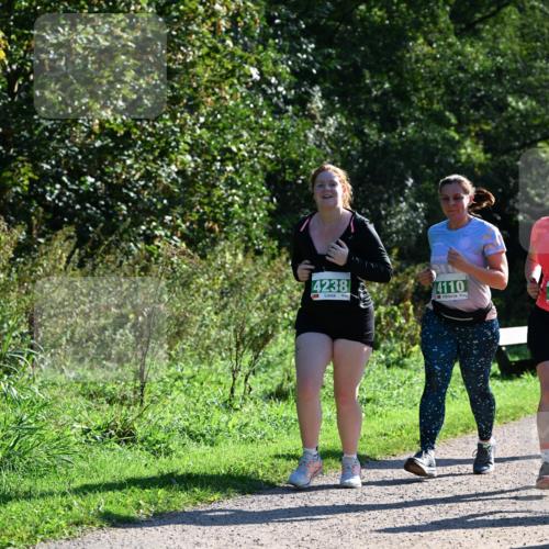 27.09.2026 - 35. Volkslauf durch das schöne Alstertal Dr. Thomas Lammeyer http://msf.ph/oto/10569169 27.09.2026 10:56:24 Laufen 4238, 4110 meine-sportfotos.de