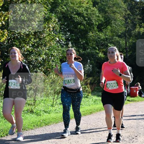 27.09.2026 - 35. Volkslauf durch das schöne Alstertal Dr. Thomas Lammeyer http://msf.ph/oto/10569178 27.09.2026 10:56:25 Laufen 4238, 4110, 4096 meine-sportfotos.de